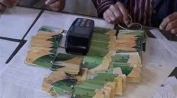 مستندات ضرورية.. تعرف على الفئات المستحقة لإضافة المواليد 2025